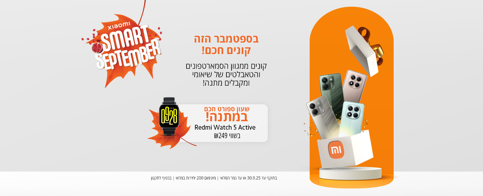 מבצעי ראש השנה