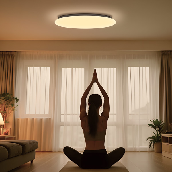 מנורת תקרה חכמה Yeelight 50W דגם Yeelight ARWEN Ceiling Light D500